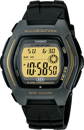 casio hd600