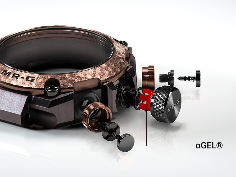 Clad Guard structure for reliable shock resistance and operability
