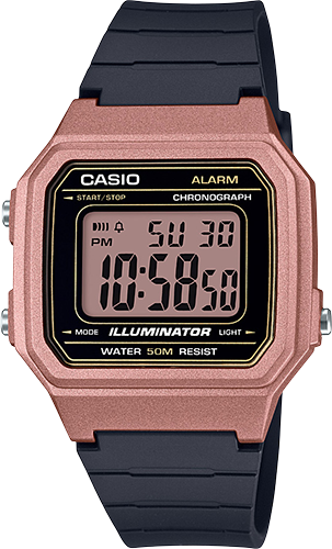 casio 3454