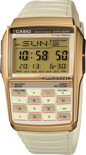 databank casio