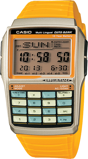 databank casio