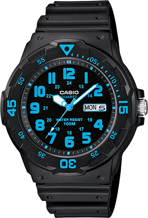 casio classic analog watch
