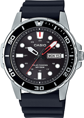 casio product