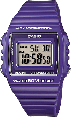 casio violet