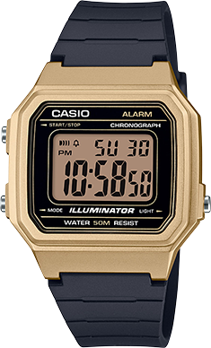w217 casio