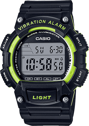 casio lap watch