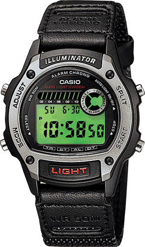 casio auto illuminator