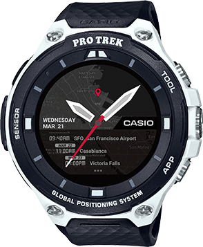 casio professional watches