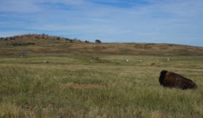 Hiking the American prairie